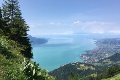 IMG_7897