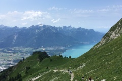 IMG_7898