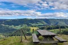 Paysage-